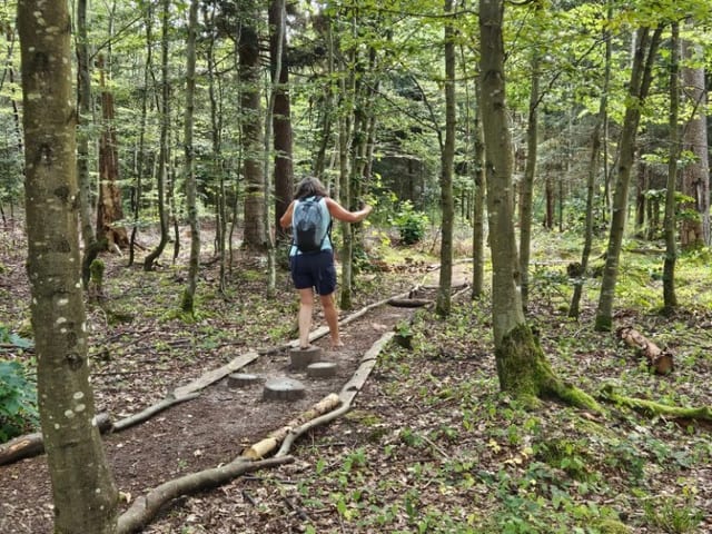 Barfußpfad Tiefenbronn — Ausflugsziel Nordschwarzwald