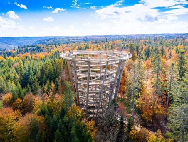 Baumwipfelpfad Bad Wildbad — Ausflugsziel Nordschwarzwald