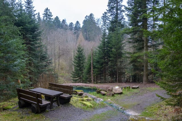 Dollbrunnen · Hegarhütte · Schwarzer Brunnen — Ausflugsziel Nordschwarzwald