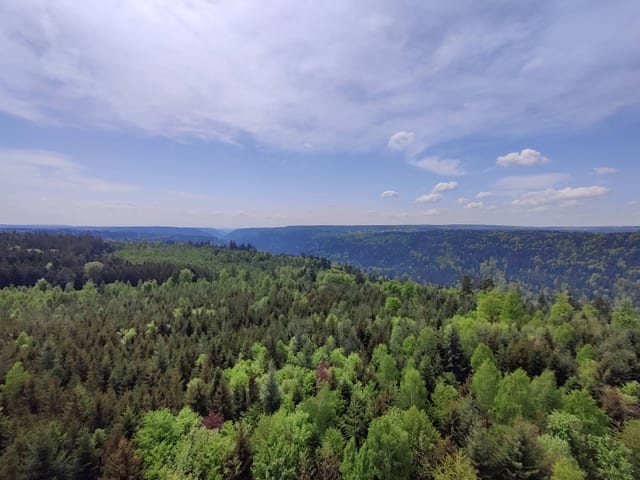 Hohe Warte — Ausflugsziel Nordschwarzwald