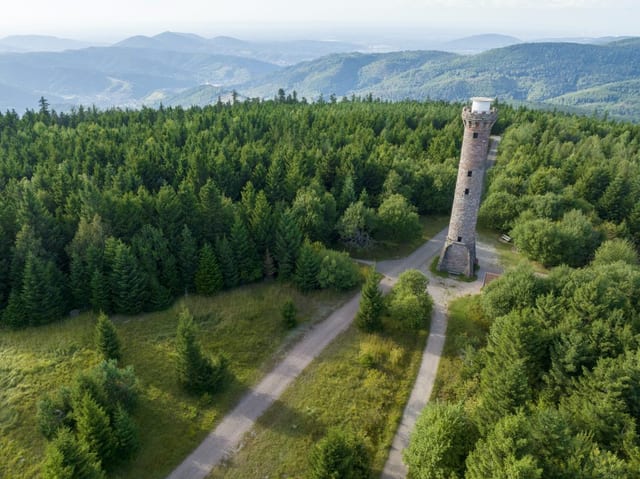 Hohlohturm Kaltenbronn — Ausflugsziel Nordschwarzwald