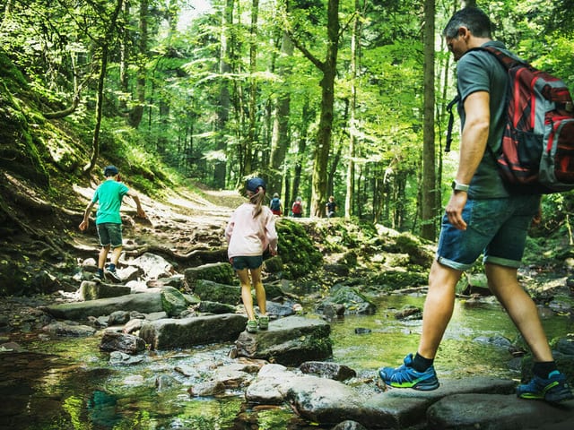Monbachschlucht — Ausflugsziel Nordschwarzwald