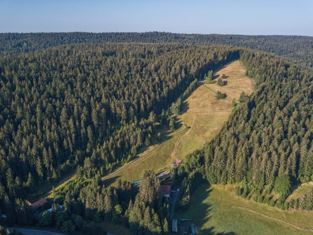 Riesenrutschbahn Poppeltal · Enzklösterle — Ausflugsziel Nordschwarzwald