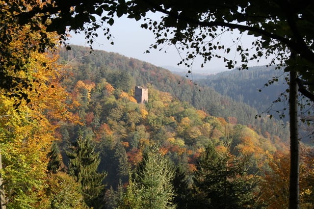 Rund um Hohenwart — Ausflugsziel Nordschwarzwald