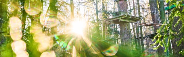 Waldklettergarten Pforzheim — Ausflugsziel Nordschwarzwald