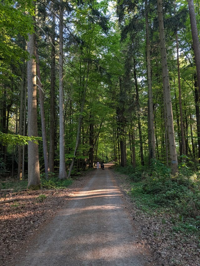 Waldwege ab Haustür — Ausflugsziel Nordschwarzwald