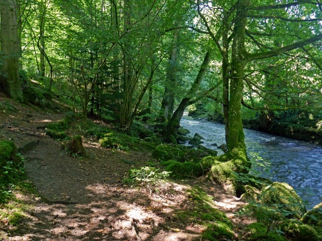 Würmtal — Ausflugsziel Nordschwarzwald