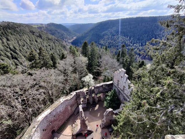 Premiumwanderweg „Der Teinacher“ — Ausflugsziel Nordschwarzwald