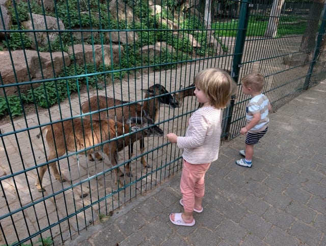 Wildpark Pforzheim — Ausflugsziel Nordschwarzwald