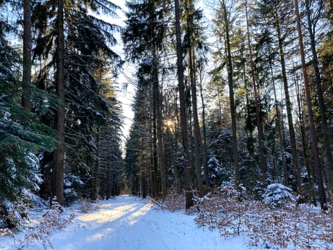 Winterlandschaft